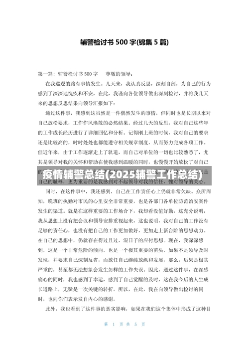 疫情辅警总结(2025辅警工作总结)-第2张图片