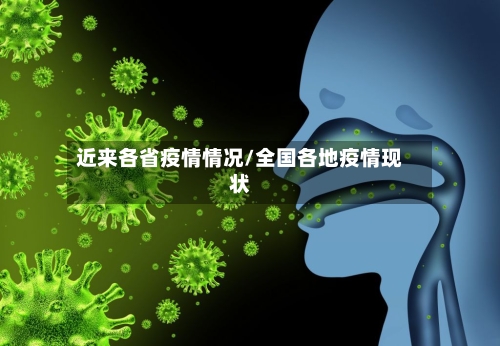 近来各省疫情情况/全国各地疫情现状-第2张图片