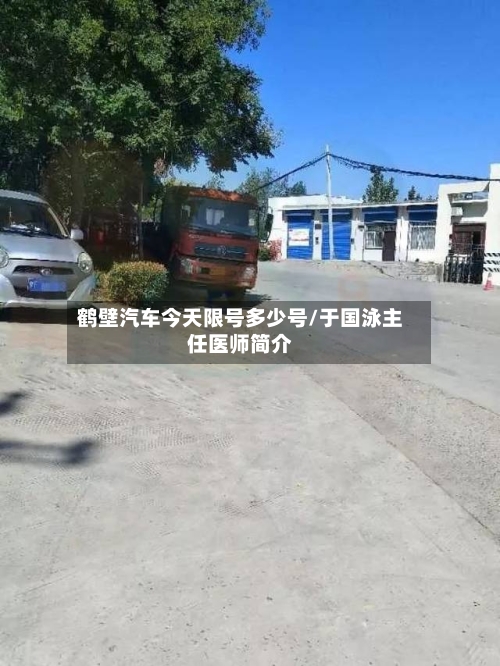 鹤壁汽车今天限号多少号/于国泳主任医师简介-第2张图片