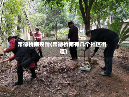 常德桥南疫情(常德桥南有几个社区街道)