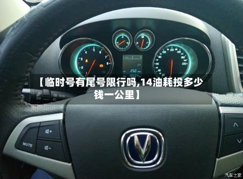 【临时号有尾号限行吗,14油耗投多少钱一公里】-第3张图片