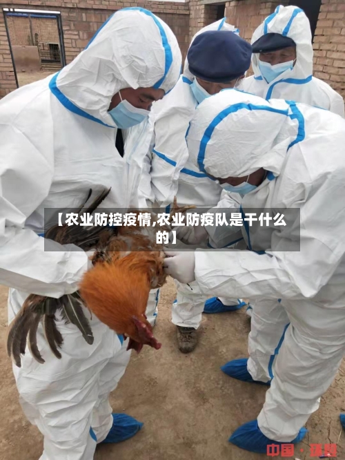 【农业防控疫情,农业防疫队是干什么的】