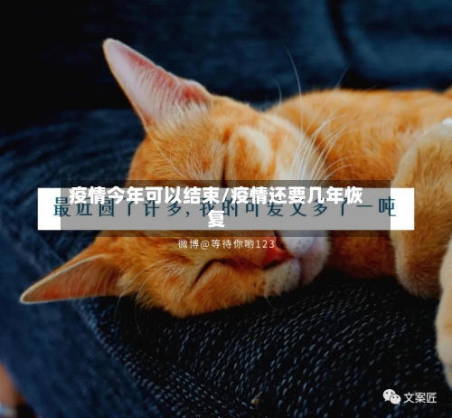 疫情今年可以结束/疫情还要几年恢复