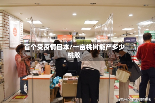首个受疫情日本/一亩桃树能产多少桃胶