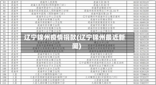 辽宁锦州疫情捐款(辽宁锦州最近新闻)