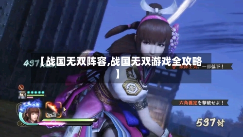【战国无双阵容,战国无双游戏全攻略】-第3张图片