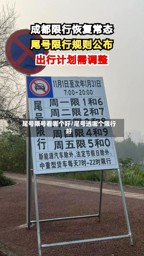 尾号限号看哪个好/尾号选哪个限行好-第3张图片