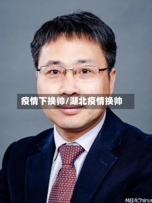 疫情下换帅/湖北疫情换帅
