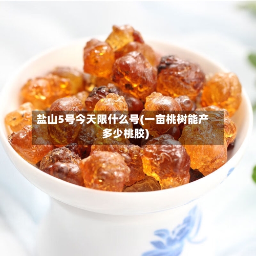 盐山5号今天限什么号(一亩桃树能产多少桃胶)