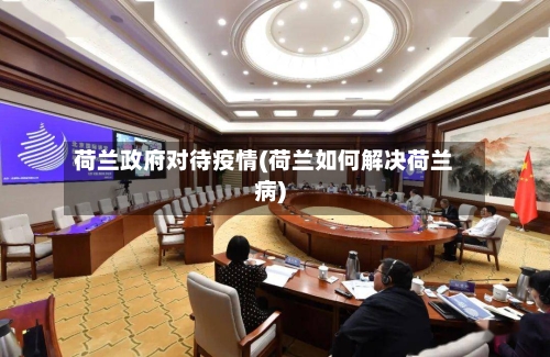 荷兰政府对待疫情(荷兰如何解决荷兰病)-第2张图片