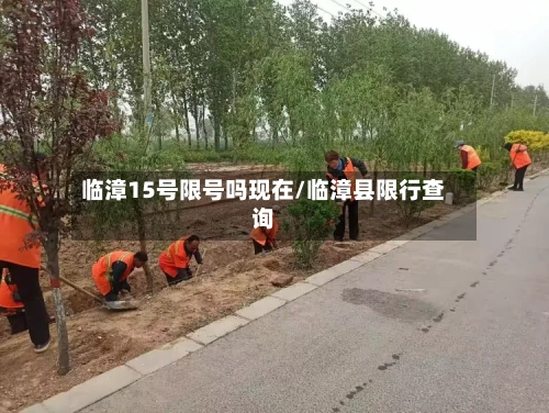临漳15号限号吗现在/临漳县限行查询-第2张图片
