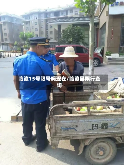 临漳15号限号吗现在/临漳县限行查询-第3张图片