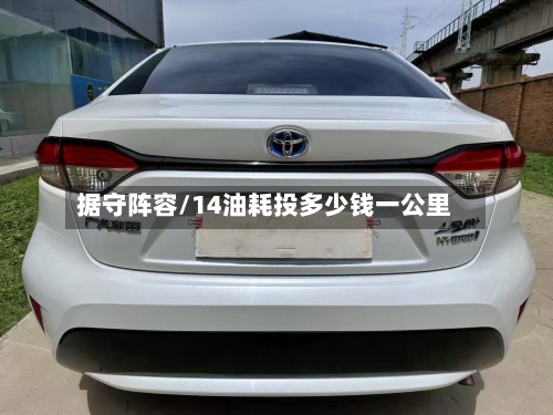 据守阵容/14油耗投多少钱一公里