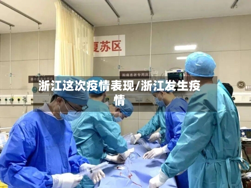 浙江这次疫情表现/浙江发生疫情