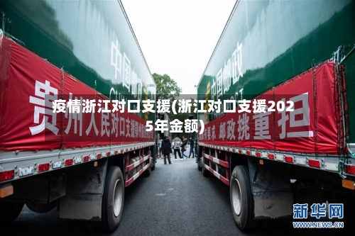 疫情浙江对口支援(浙江对口支援2025年金额)-第3张图片