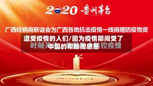 遭受疫情的人们/因为疫情期间受了中国的帮助而感恩-第2张图片