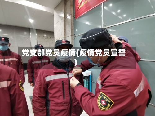 党支部党员疫情(疫情党员宣誓)-第2张图片