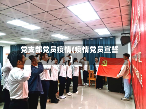 党支部党员疫情(疫情党员宣誓)-第3张图片