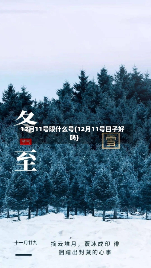 12月11号限什么号(12月11号日子好吗)