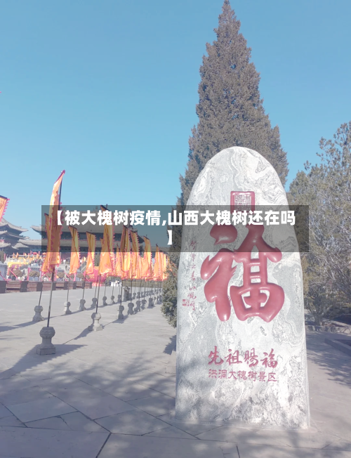 【被大槐树疫情,山西大槐树还在吗】-第2张图片