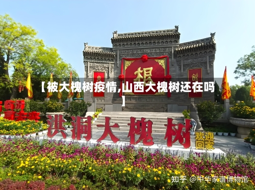 【被大槐树疫情,山西大槐树还在吗】