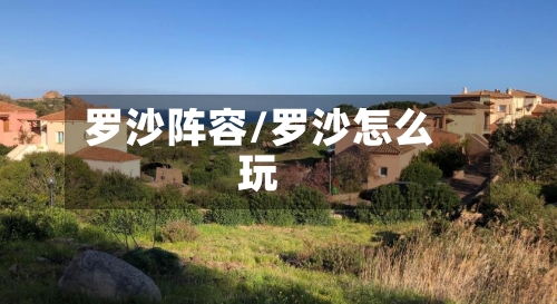 罗沙阵容/罗沙怎么玩-第2张图片