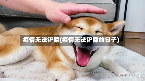疫情无法铲屎(疫情无法铲屎的句子)