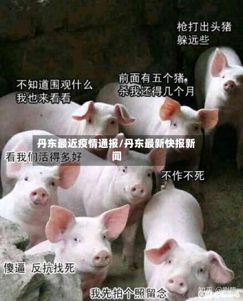 丹东最近疫情通报/丹东最新快报新闻-第3张图片