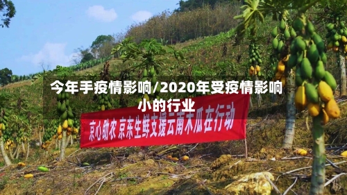 今年手疫情影响/2020年受疫情影响小的行业-第2张图片