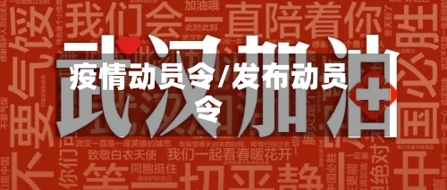 疫情动员令/发布动员令-第3张图片