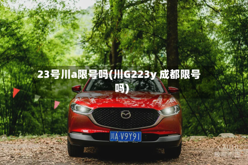 23号川a限号吗(川G223y 成都限号吗)-第2张图片
