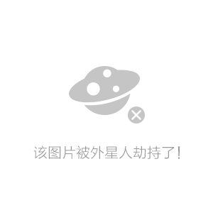 最佳阵容免费环球探索(环球探险)