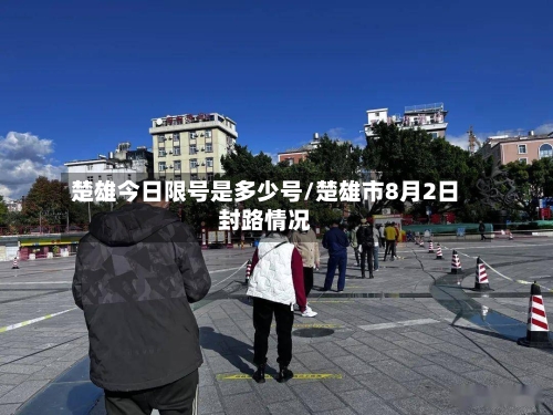 楚雄今日限号是多少号/楚雄市8月2日封路情况-第2张图片