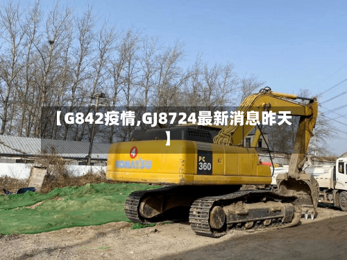 【G842疫情,GJ8724最新消息昨天】-第2张图片