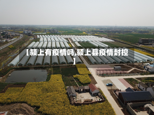 【颍上有疫情吗,颍上县疫情封控】