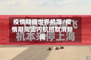 疫情期间世界机票/疫情期间国内航班取消新闻-第2张图片