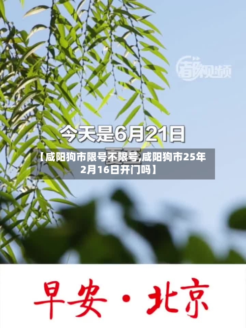 【咸阳狗市限号不限号,咸阳狗市25年2月16日开门吗】