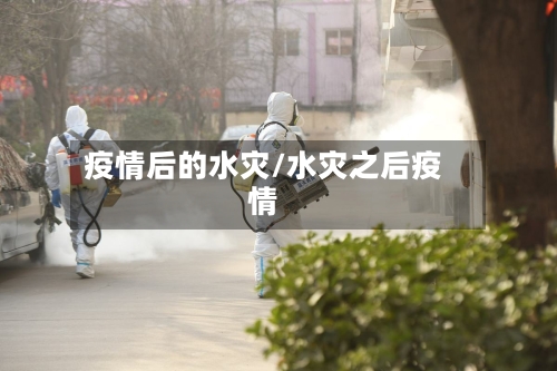 疫情后的水灾/水灾之后疫情