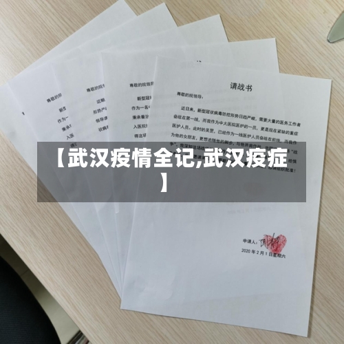 【武汉疫情全记,武汉疫症】