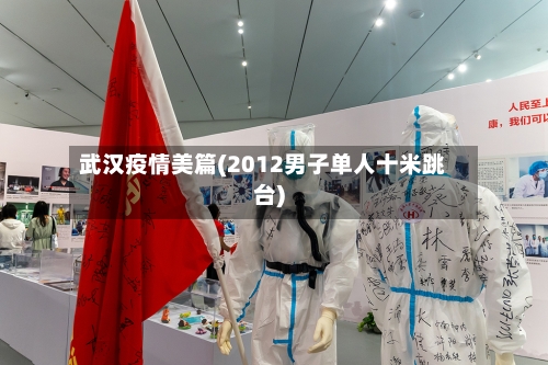 武汉疫情美篇(2012男子单人十米跳台)-第3张图片