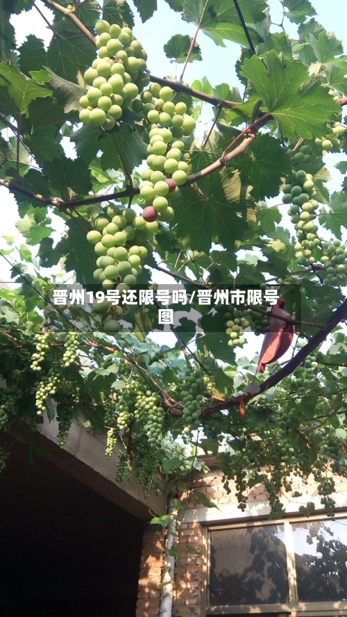 晋州19号还限号吗/晋州市限号图-第2张图片