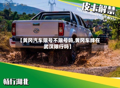 【黄冈汽车限号不限号吗,黄冈车牌在武汉限行吗】-第2张图片