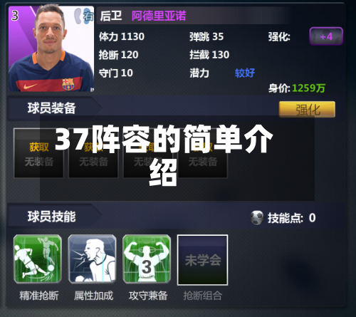 37阵容的简单介绍
