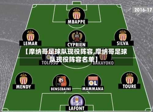 【摩纳哥足球队现役阵容,摩纳哥足球队现役阵容名单】-第2张图片