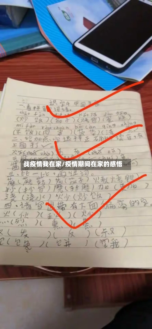 战疫情我在家/疫情期间在家的感悟-第2张图片