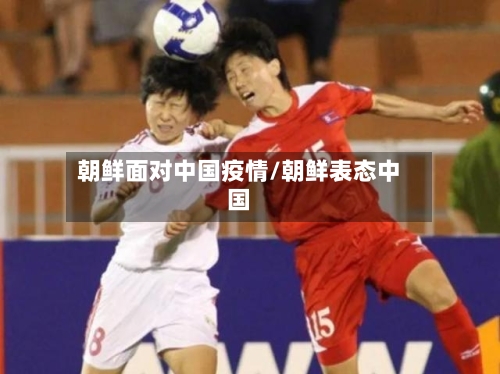 朝鲜面对中国疫情/朝鲜表态中国