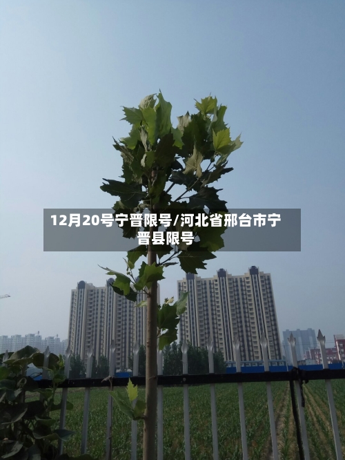 12月20号宁晋限号/河北省邢台市宁晋县限号