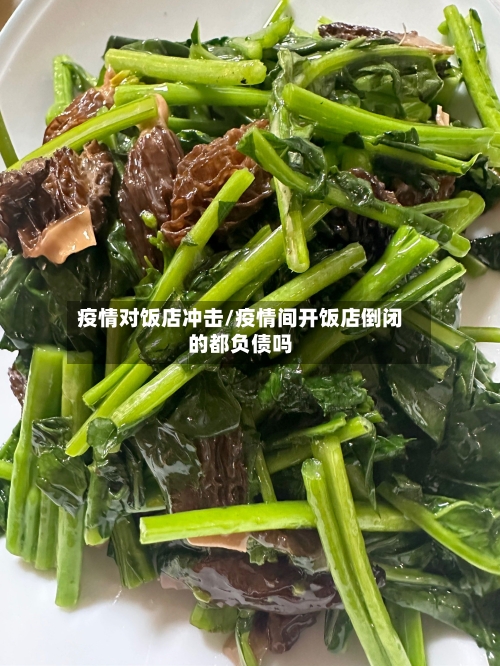 疫情对饭店冲击/疫情间开饭店倒闭的都负债吗
