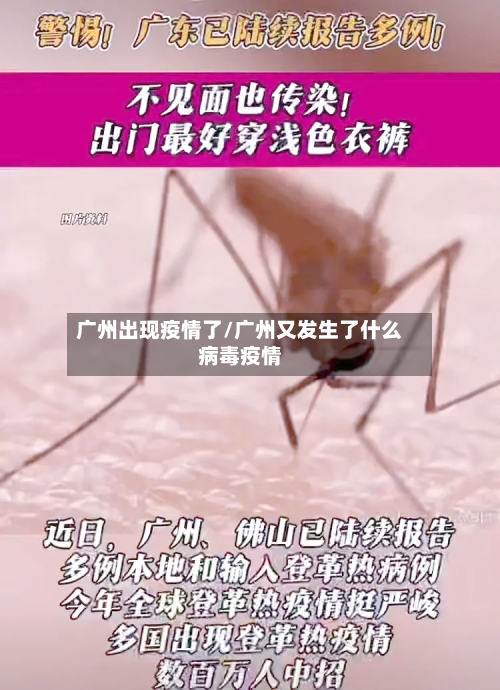 广州出现疫情了/广州又发生了什么病毒疫情