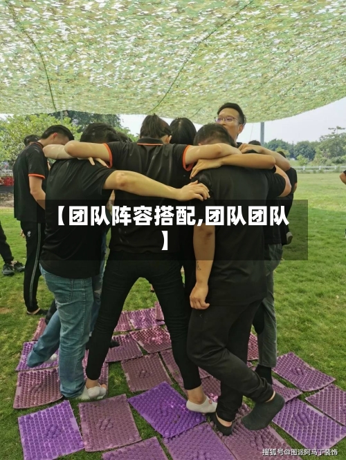 【团队阵容搭配,团队团队】